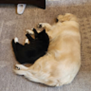 Meet your Posher, Claire